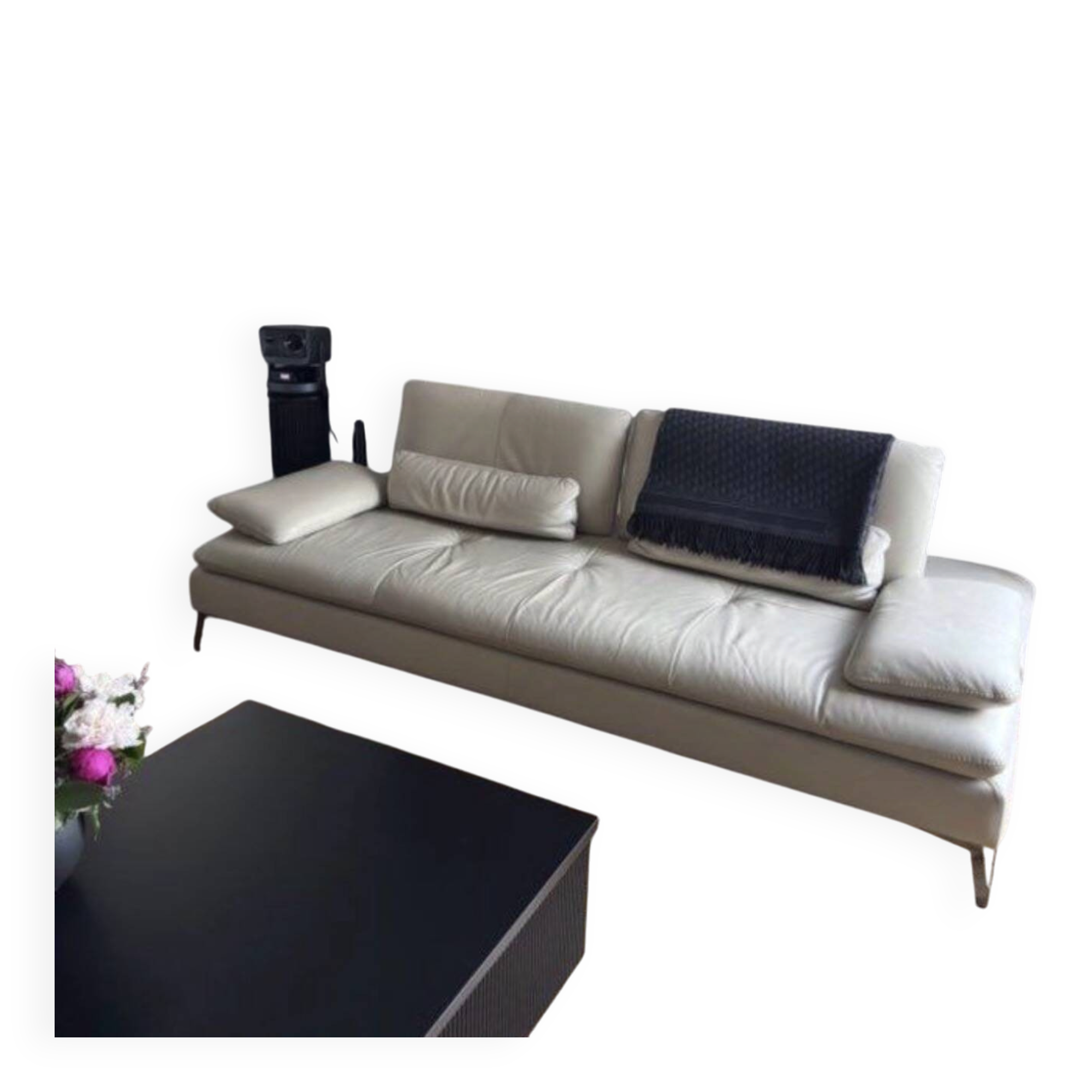 Roche Bobois Sofa Scenario