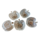 Set of vintage bowls, apple