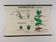 Vintage educational wall hanging roll chart biology plants
