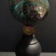 Cabinet of curiosities shell turbo imperialis on base