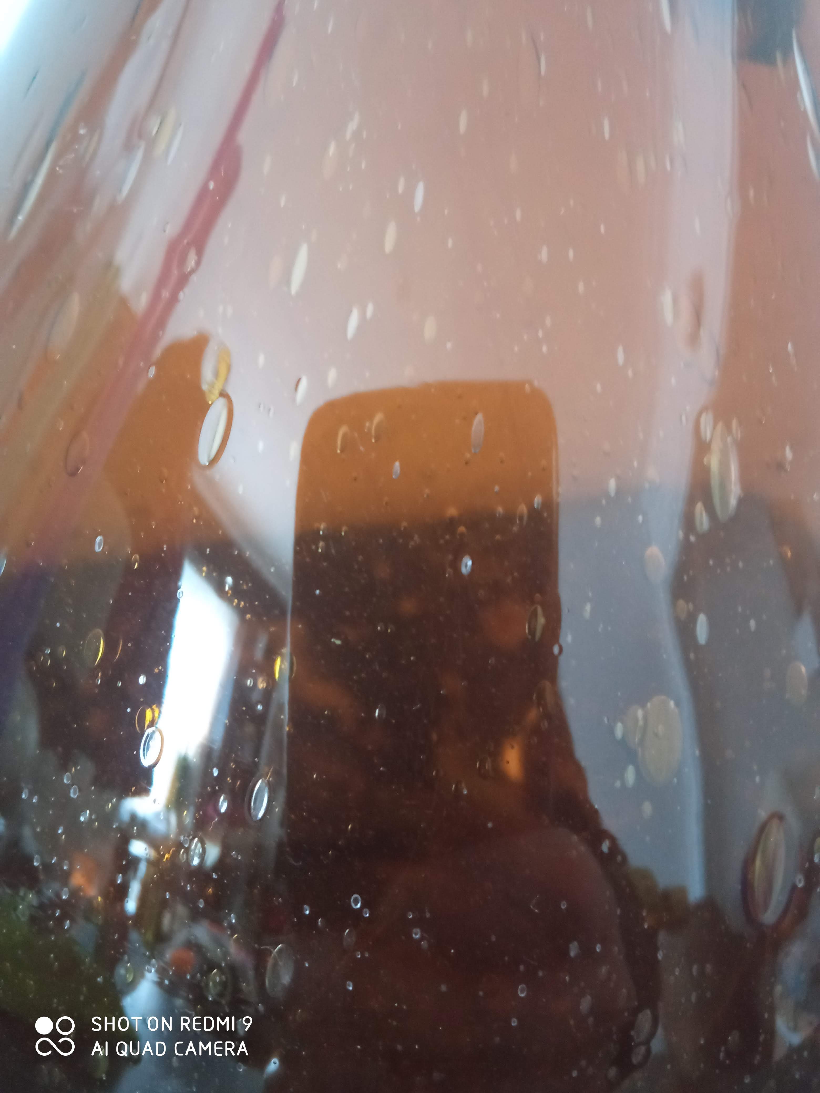Biot glass bubble glass carafe