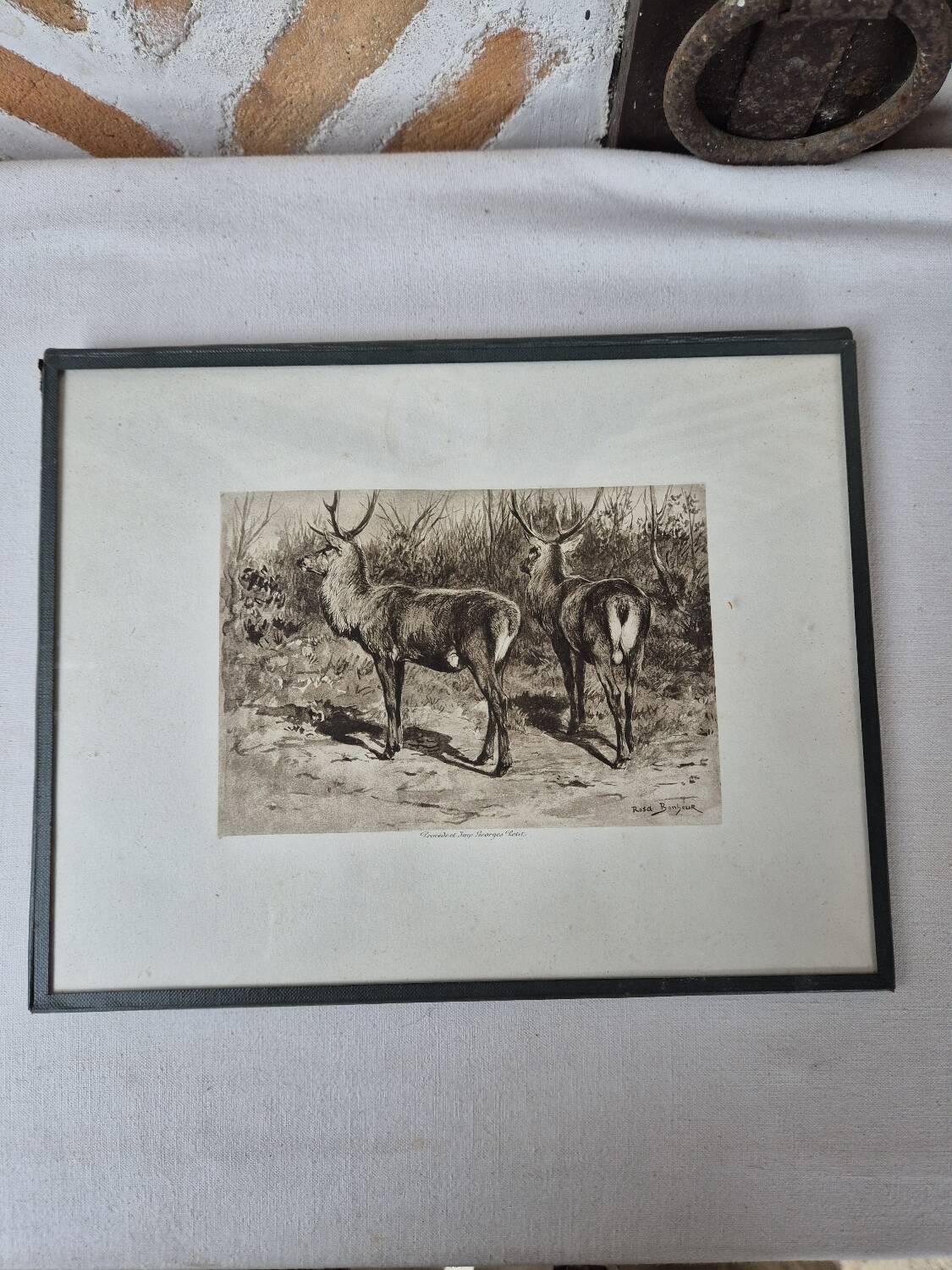 Engraving of a deer hunt by Rosa Bonheur