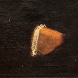 Portrait, oil on canvas, Staf Beerten, 1964