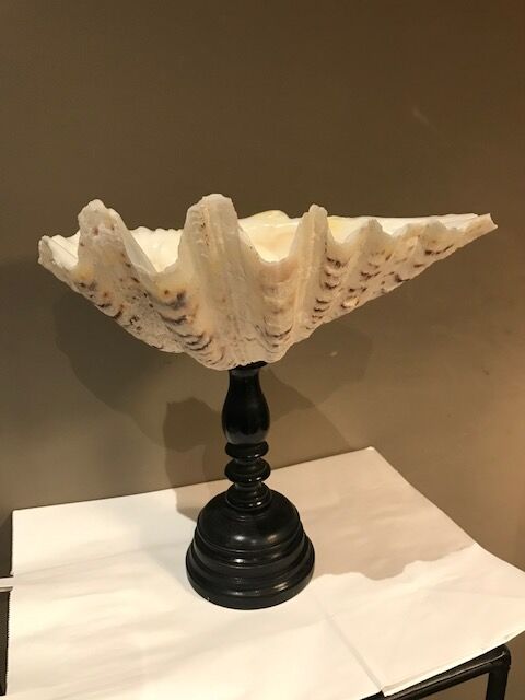 Clam mounted in vacuum pocket