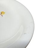 Plat en faïence de Salins
