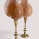 Pair of natural shells on a mid-century Swedish Skultuna brass candelabrum.