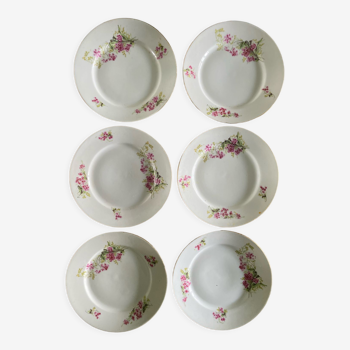 Ensemble de 6 assiettes plates fleuries