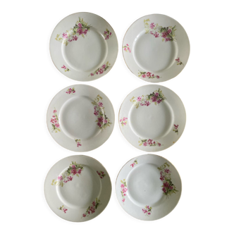 Ensemble de 6 assiettes plates fleuries