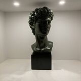 Bust of david