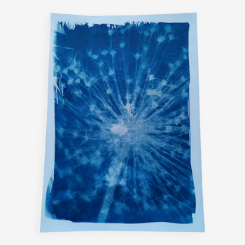 Cyanotype blue vintage fuzzy flower