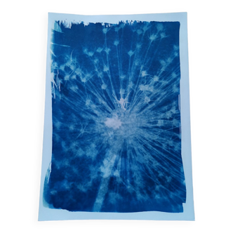 Cyanotype blue vintage fuzzy flower