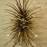 Chanel coco "wheat gerbe" coffee table from the 1950s