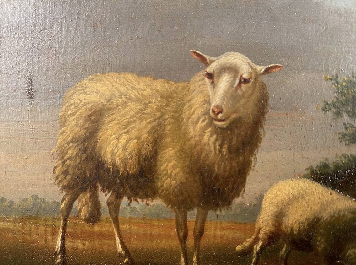 Arthur de waerhert (1881-1944). "sheep", pair of oils on panel.