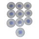 Service of 8 flat plates and 2 blue gien dishes