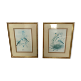 2 illustrations John Gould anciennes