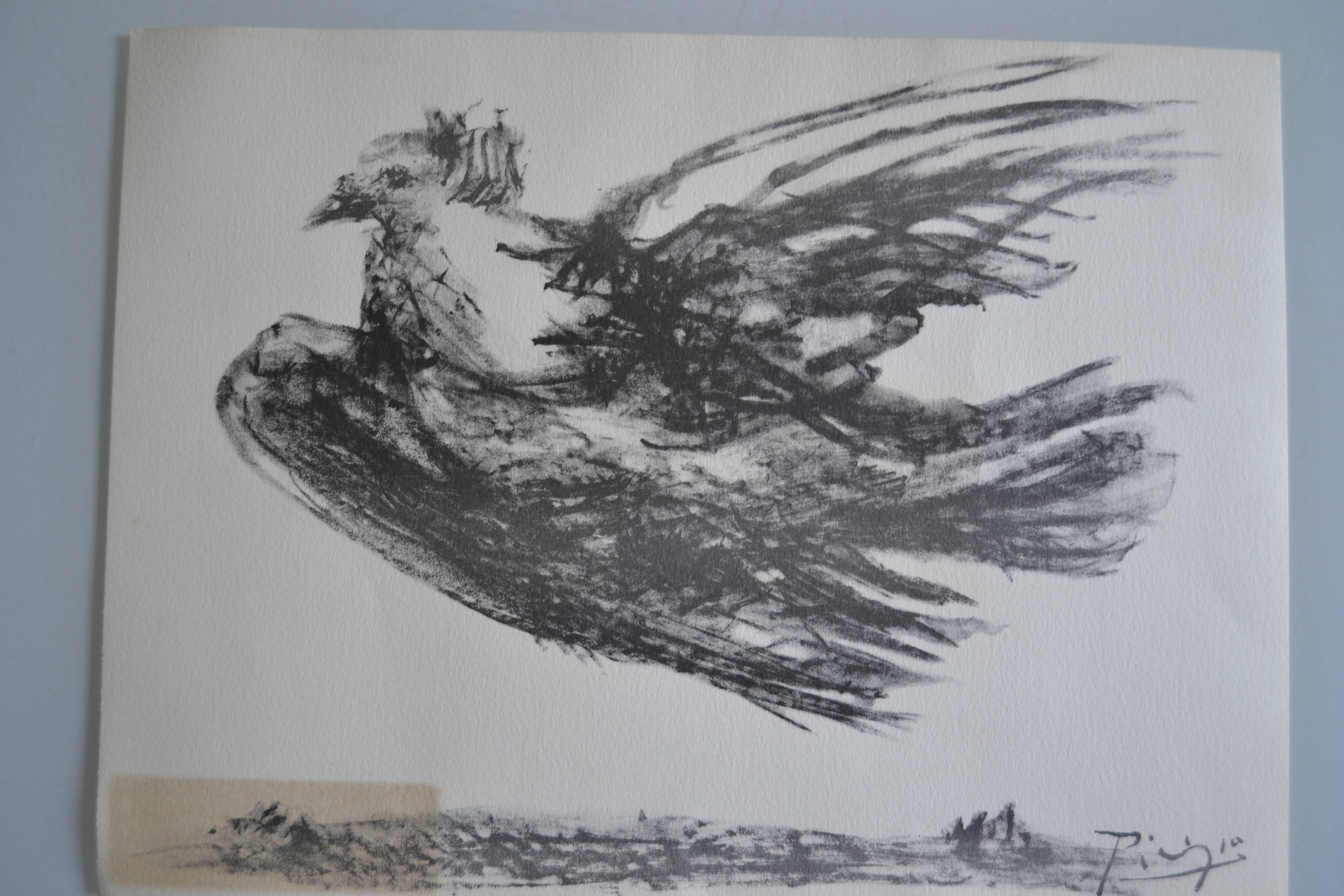 Picasso Lithographie originale 1959 La colombe en vol 38x28cm