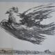 Picasso Lithographie originale 1959 La colombe en vol 38x28cm
