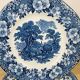 6 Wedgwood Woodland dinner plates blue