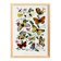 Poster about butterflies, based on an old engraving from 1842.