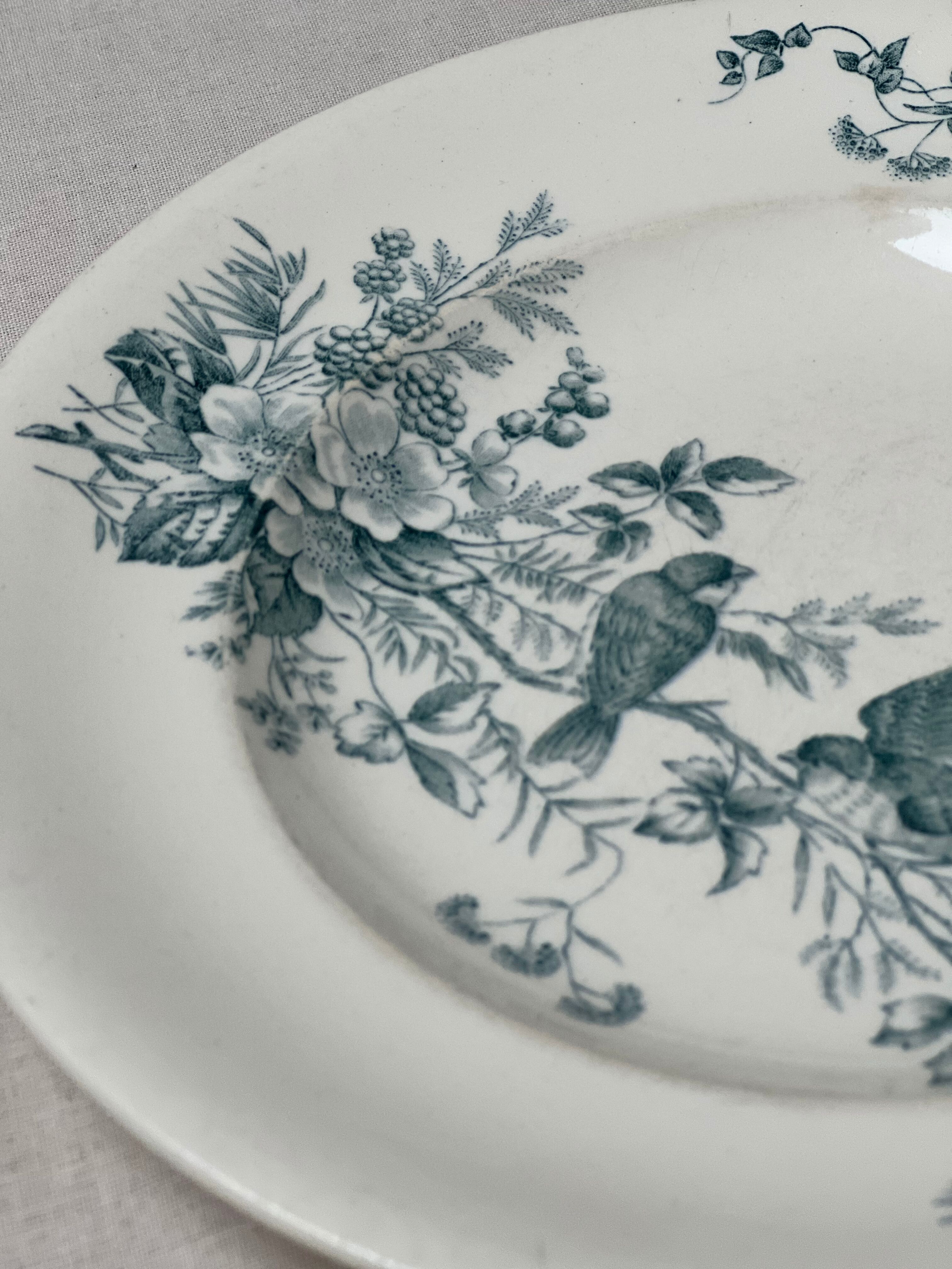 Iron earth plates birds Longwy