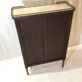 Entrance library - bibus Louis XVI