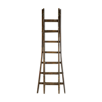 Old Richomme scale