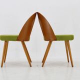 1960s Set of Four Antonin Suman Dining Chairs ,Restored