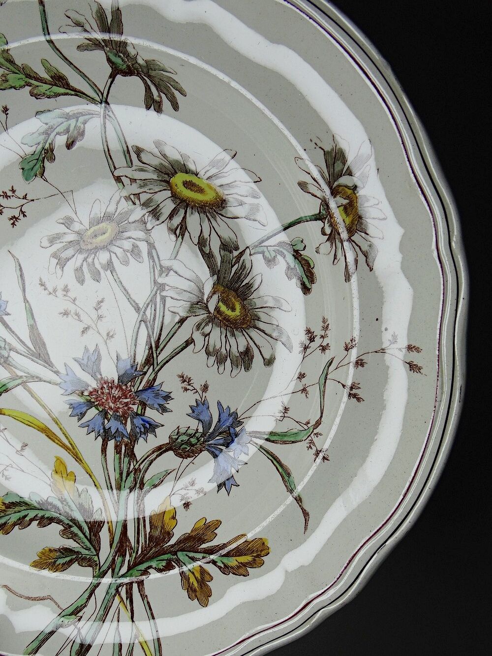 Antique Longchamp shallow dish with polychrome daisies in ironstone.