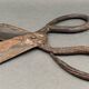 Scissors for shearing sheep