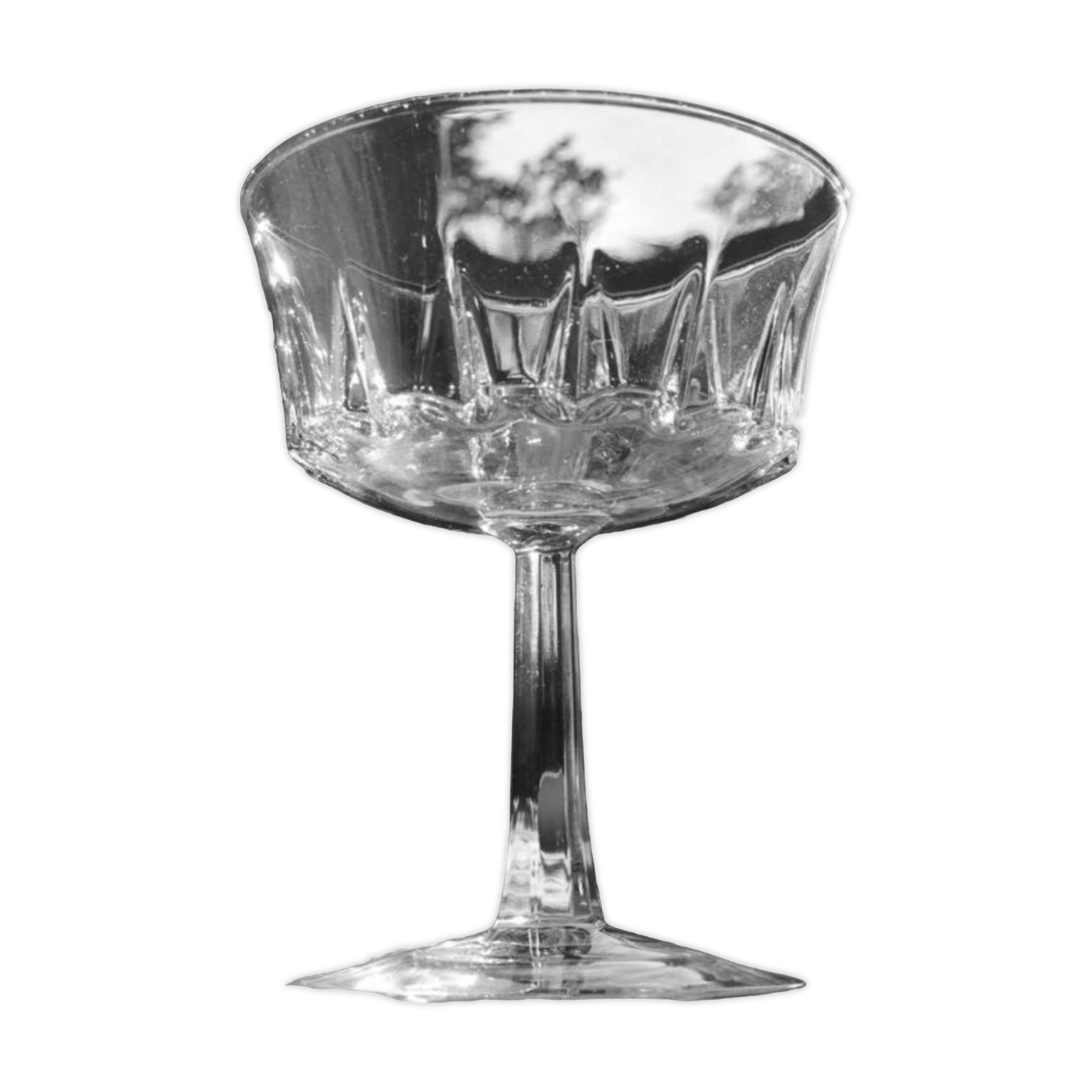 Champagne glass