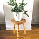 End of sofa door plants rattan and bamboo design 50s - 60s