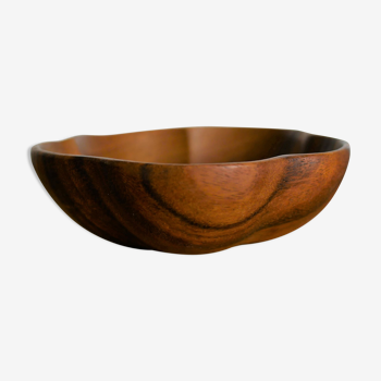 Dish teak