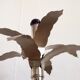 Nickel-plated brass, 70/80s Italy Palm lamp