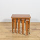 Mid-century Danish nesting tables by Poul Hundevad for Novy Domov, Czechoslovakia, 1960s, set of 5