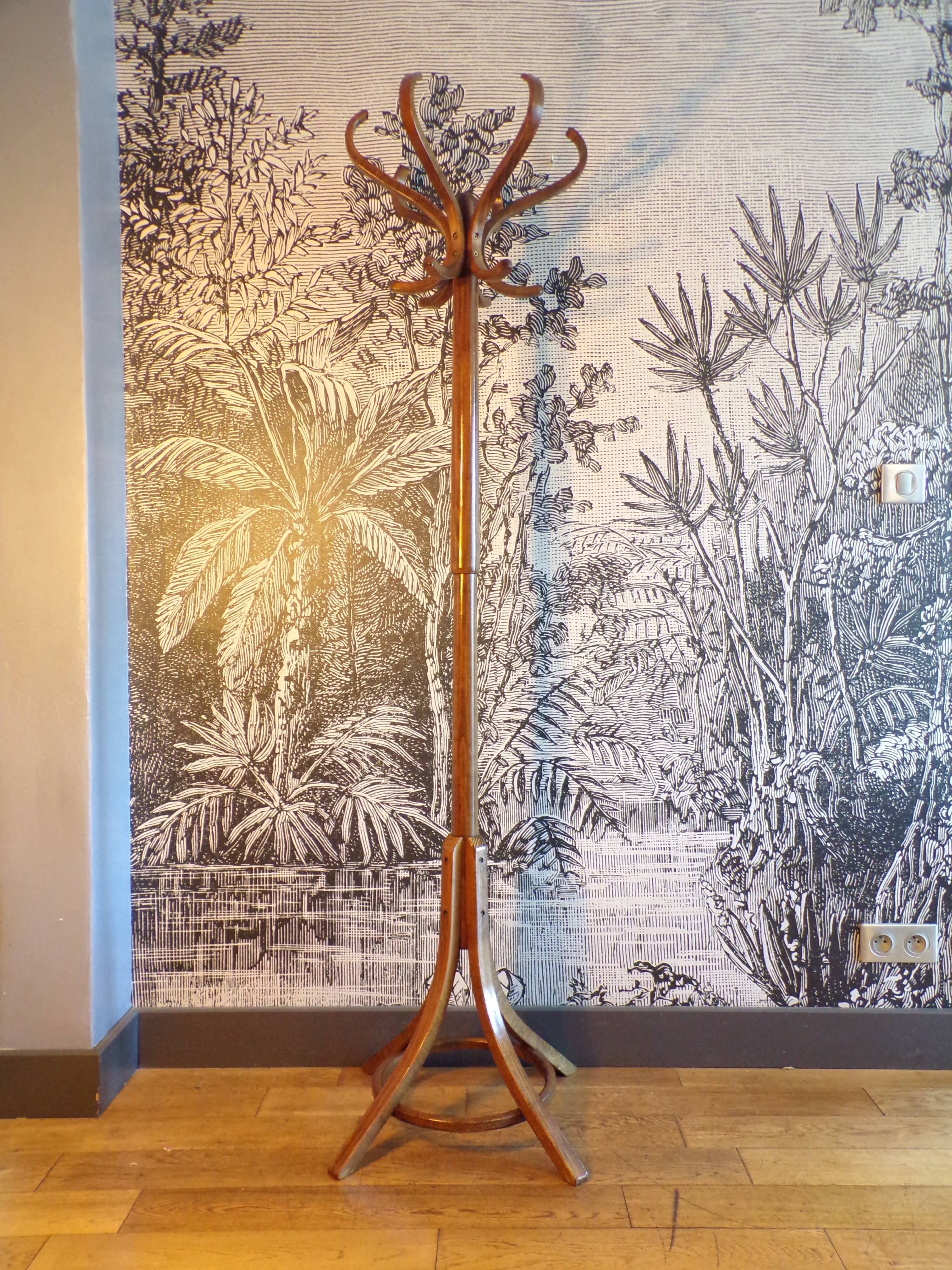 Baumann parrot coat rack in bent wood