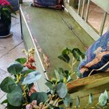 Transylvania Bench