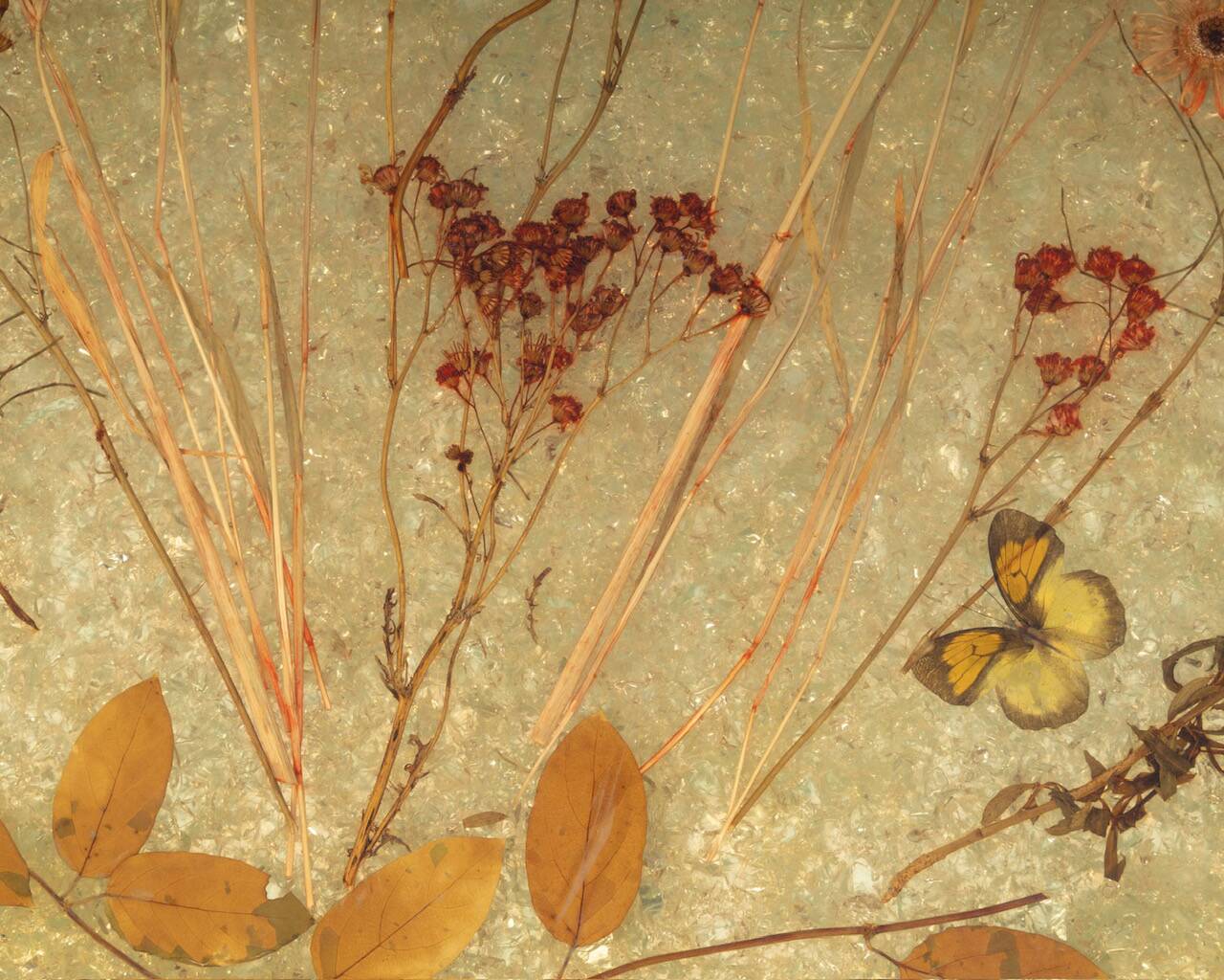 Accolay side table in resin and gold-tone metal