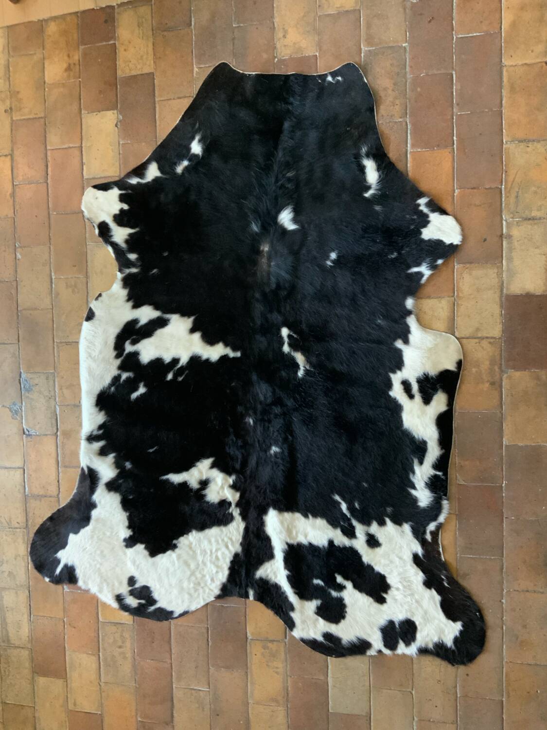 Cow skin