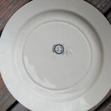 Flat plate salted terre de fer, model bristol