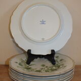 6 Limoges Haviland porcelain plates horn service