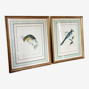 Deux lithographies oiseaux avec cadre bois dorés