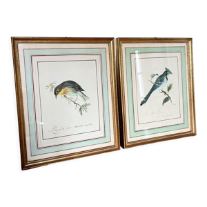 Deux lithographies oiseaux
