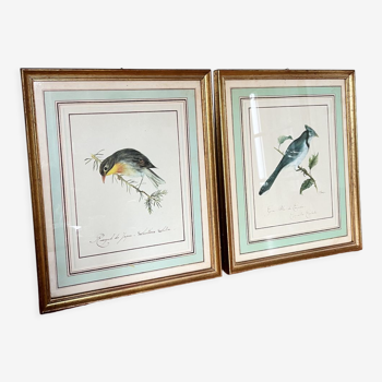 Two bird lithographs with gilded wooden frame