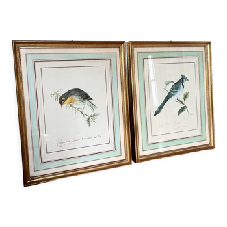 Two bird lithographs with gilded wooden frame