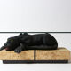 Panther coffee table on stone base and glass tablet