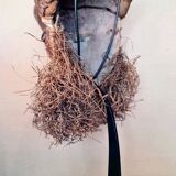 “mbuya” mask, pende, democratic republic of congo. wood, pigments,
