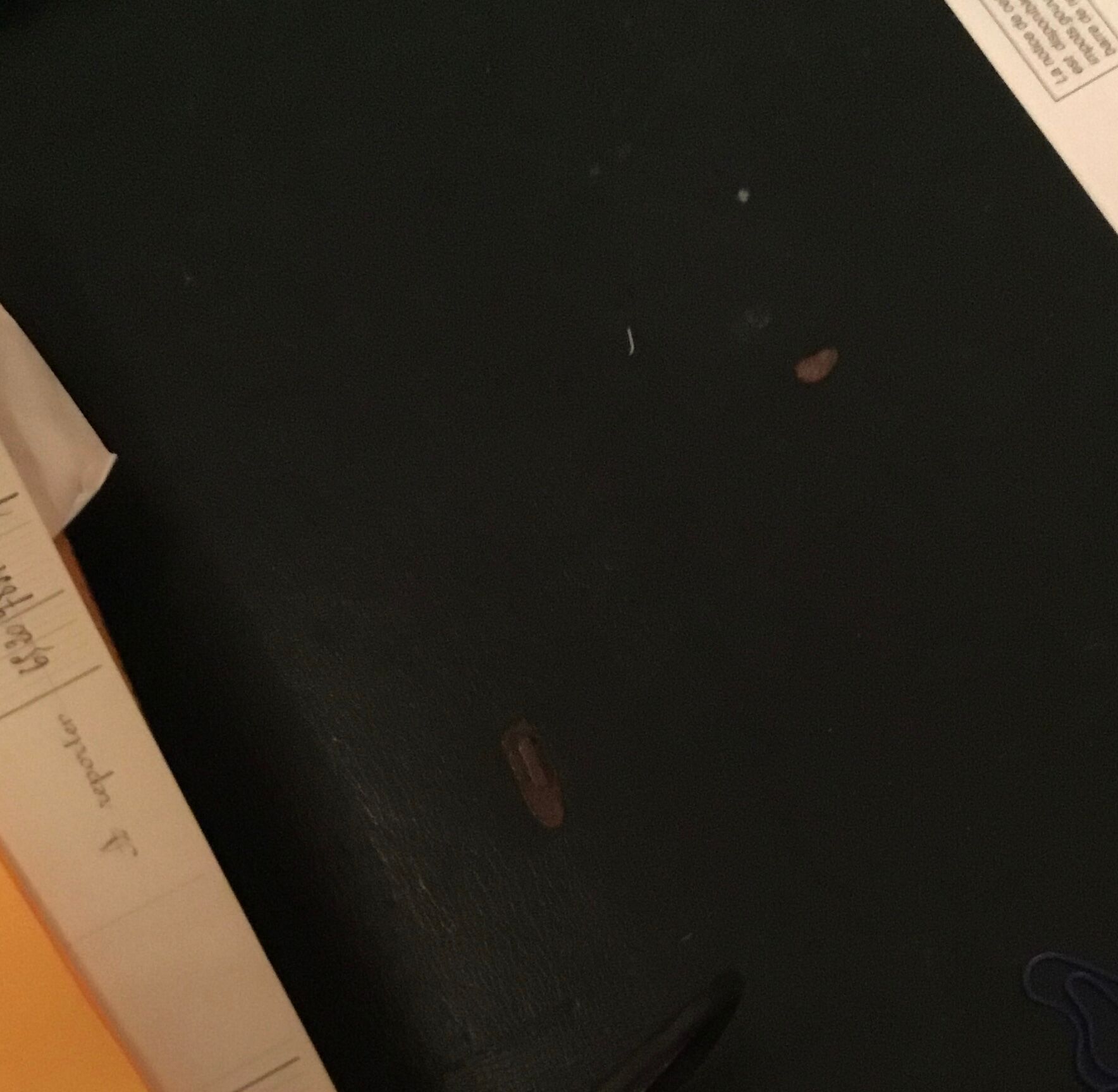 Louis XVI style office