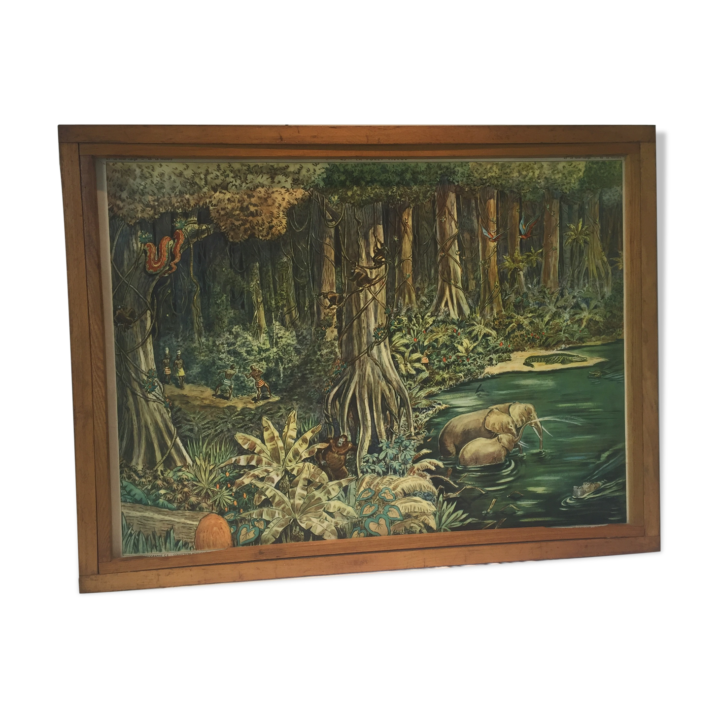 Table school nightingale year 50 with poster virgin forest / tundra