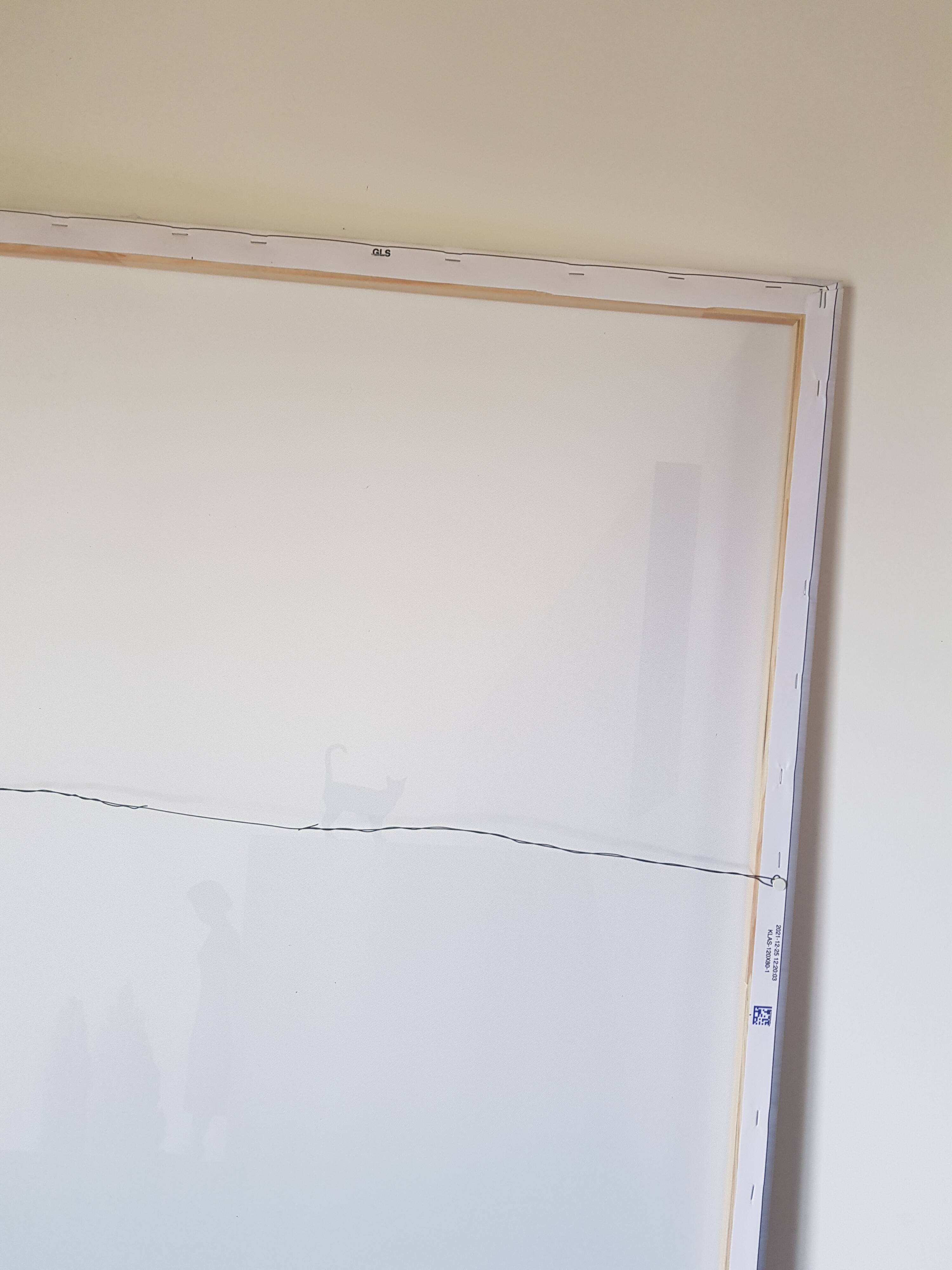 Squirted on canvas by the artist Mr Strange