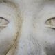 Plaster bust